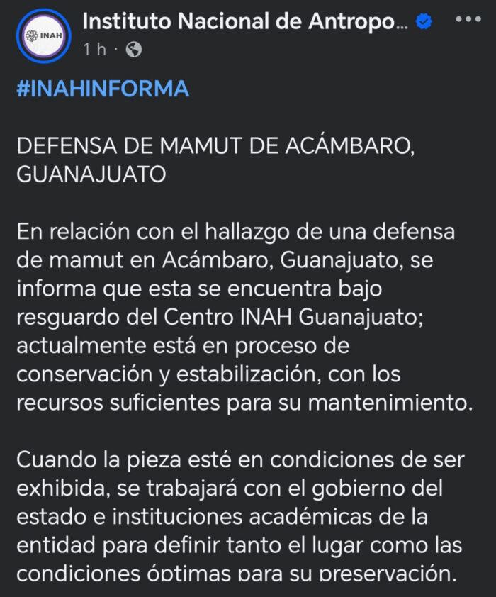 Colmillo de mamut en Acámbaro
