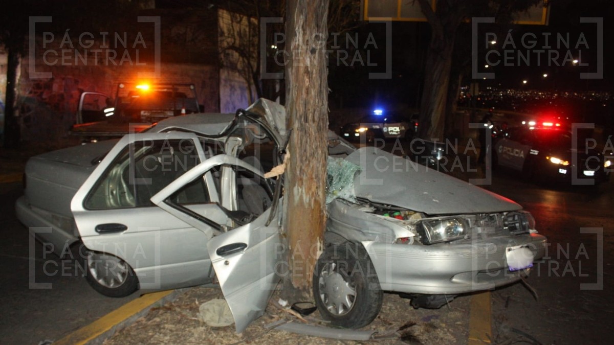 ¡‘Abrazó’ el árbol! Mujer pierde el control y se lesiona en aparatoso choque en Insurgentes