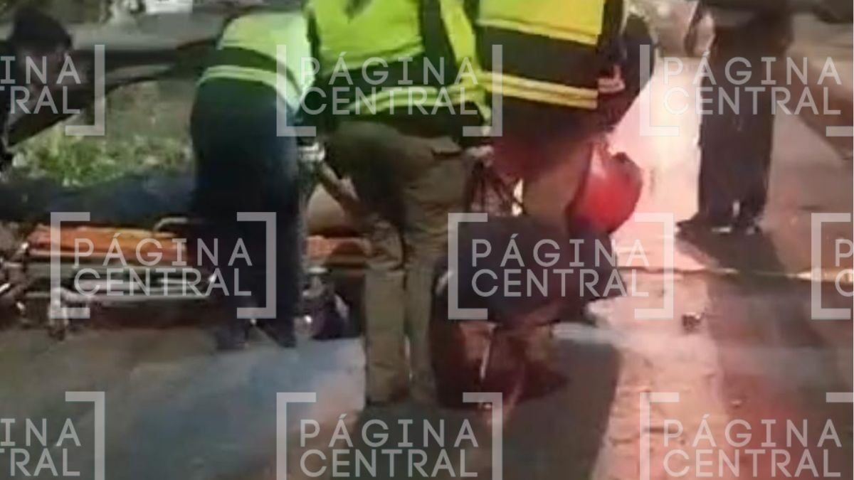 Le golpeó en la cabeza: Cae árbol sobre hombre en León