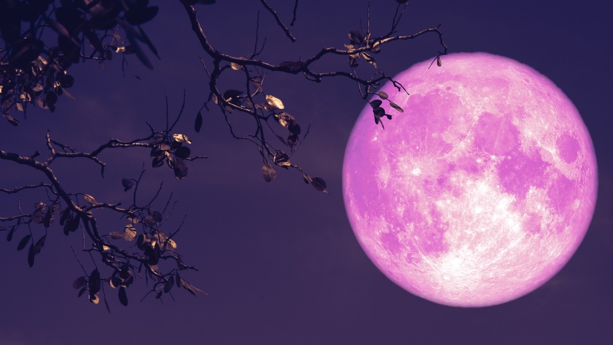 Luna Rosa 2026: ¿Cuándo se podrá ver en Guanajuato?