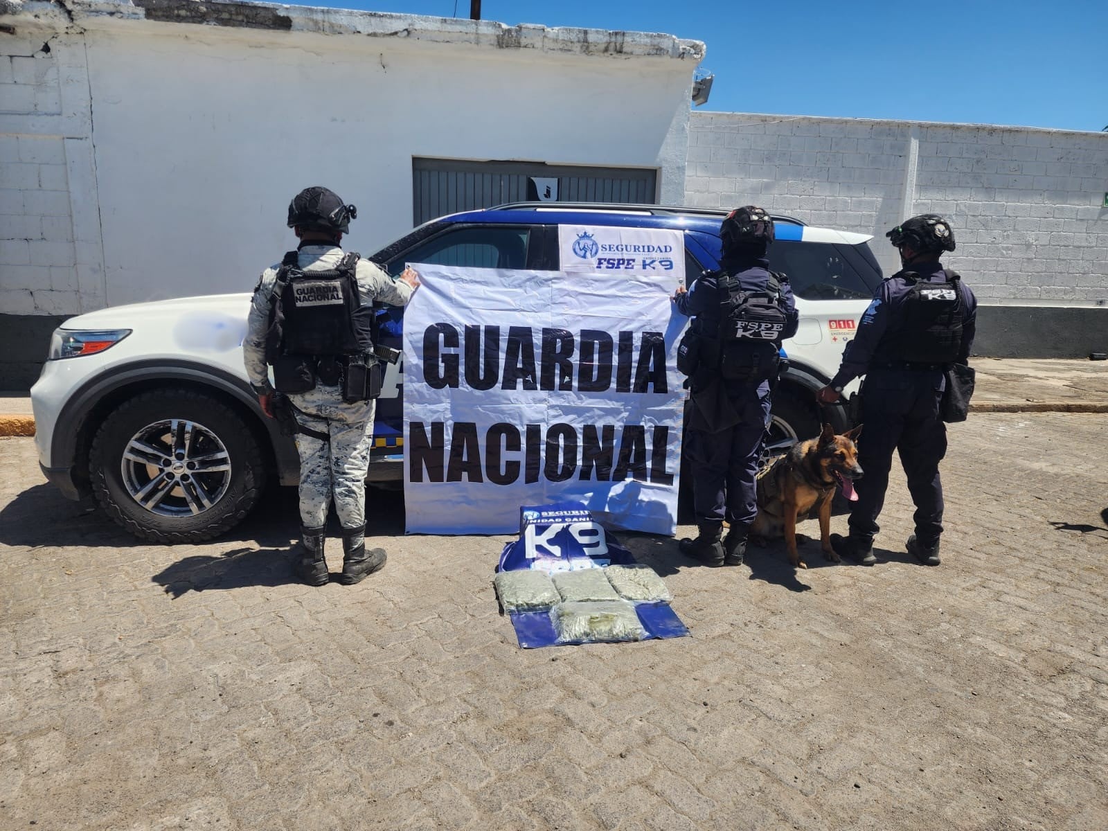 Golpe al narco: Binomios K9 aseguran paquetes con drogas en paqueterías de León e Irapuato