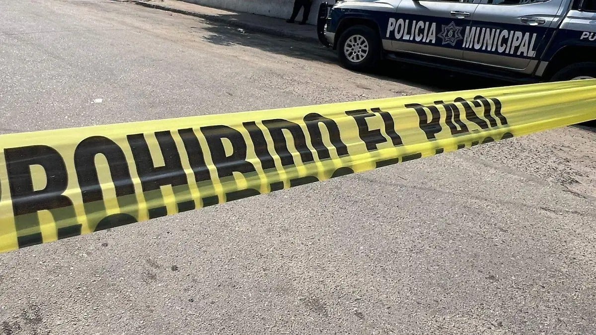 Terrible hallazgo: Localizan tres cuerpos dentro de transporte público