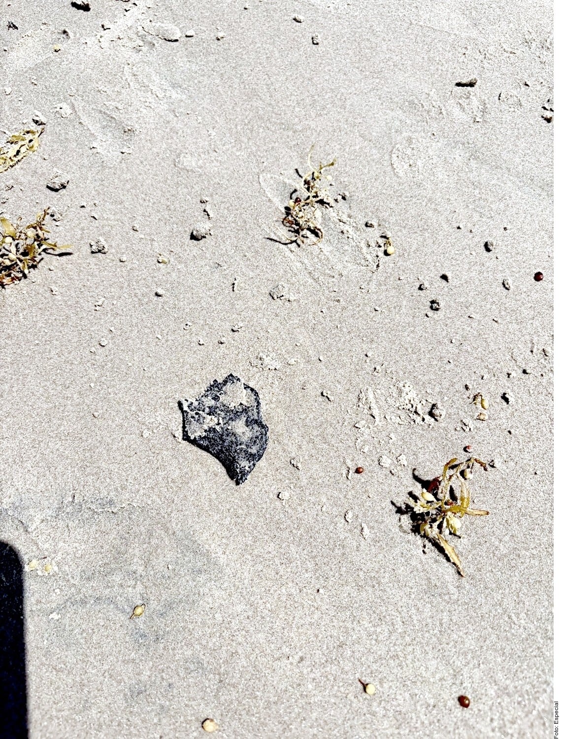 Reportan chapopote... ahora ¡en Texas!