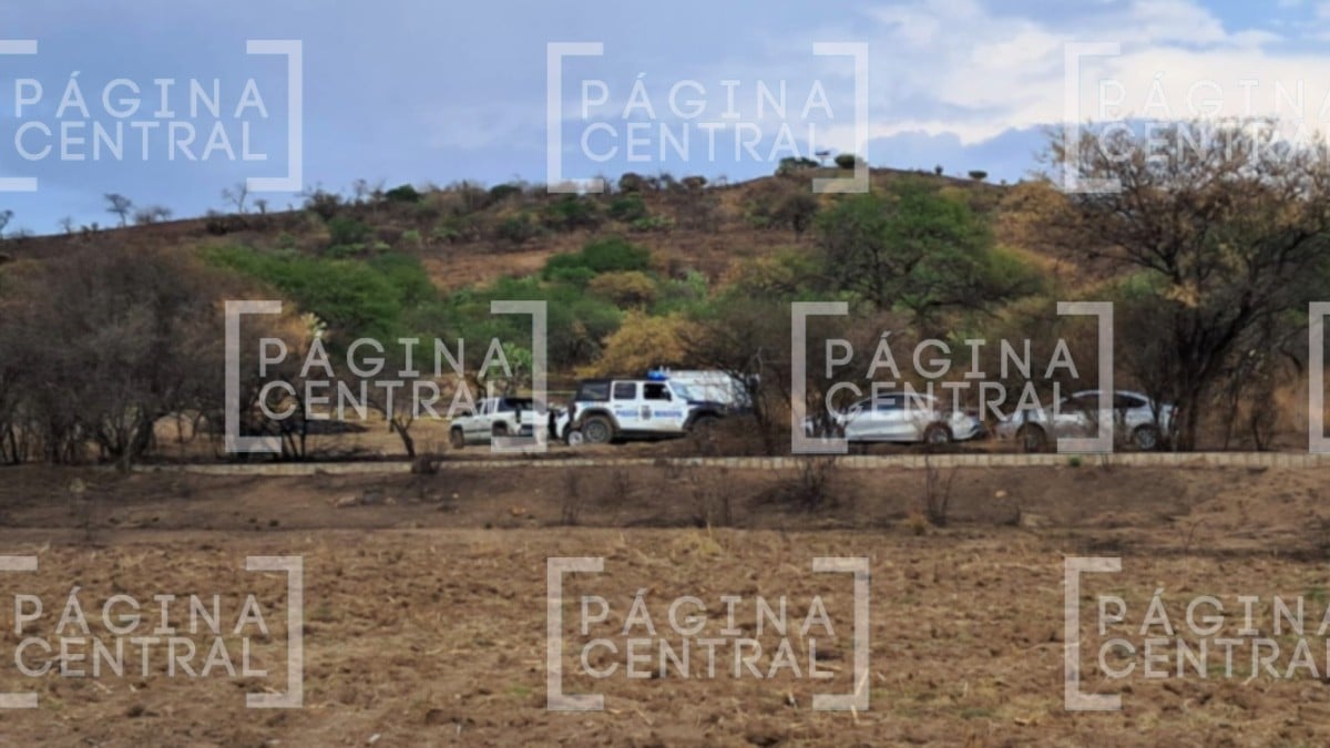 Homicidio en San José de los Romero Homicidio en San José de los Romero