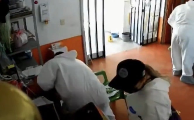 VIDEO ¡Hasta camarones se llevaron! Presunto robo por peritos durante operativo