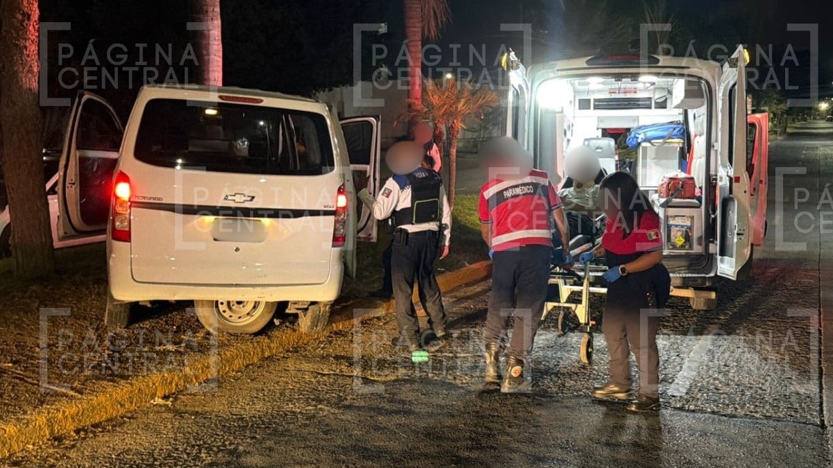 Choque contra una palmera en Bugambilias