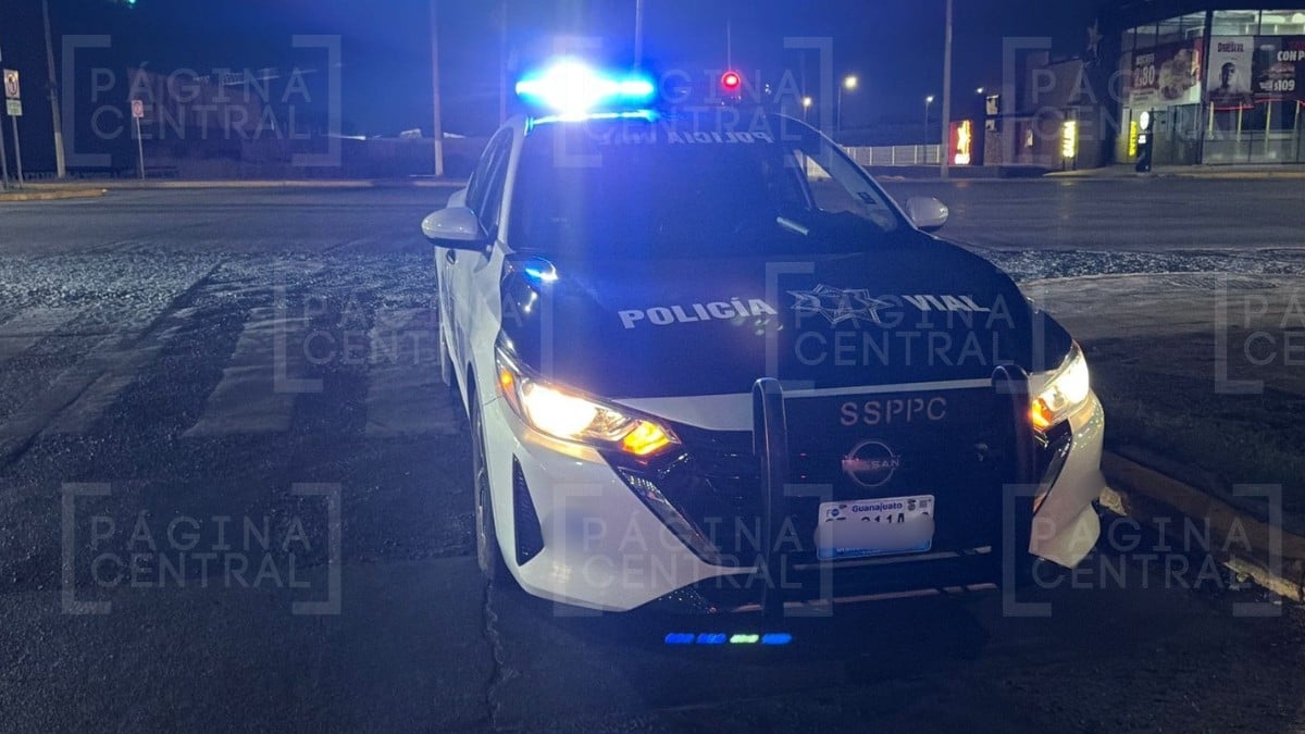 Choque contra una palmera en Bugambilias