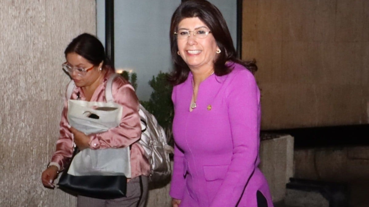 Alcaldesa de Morena reconoce que esto le pasó a más de 10 mil perros en su Gobierno