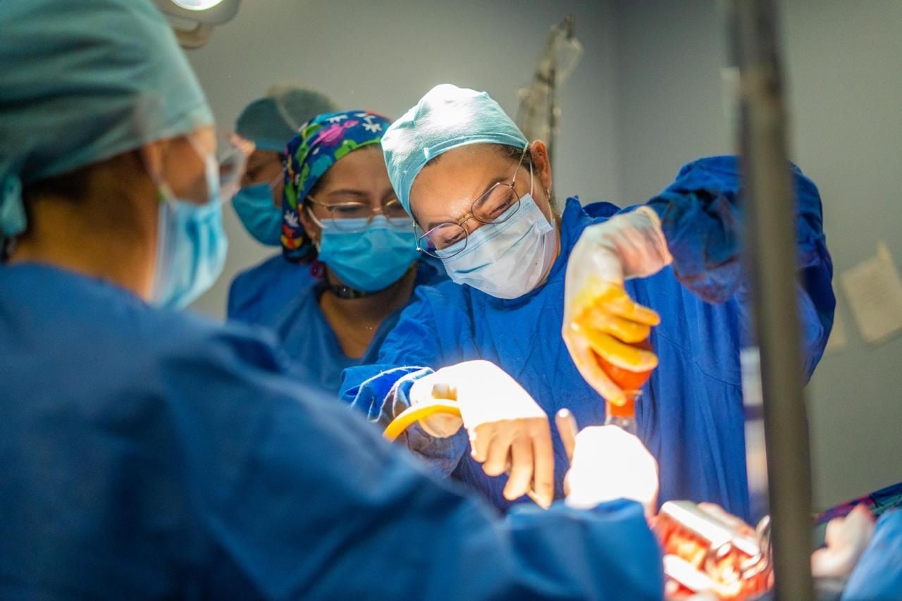 Dona José Antonio órganos