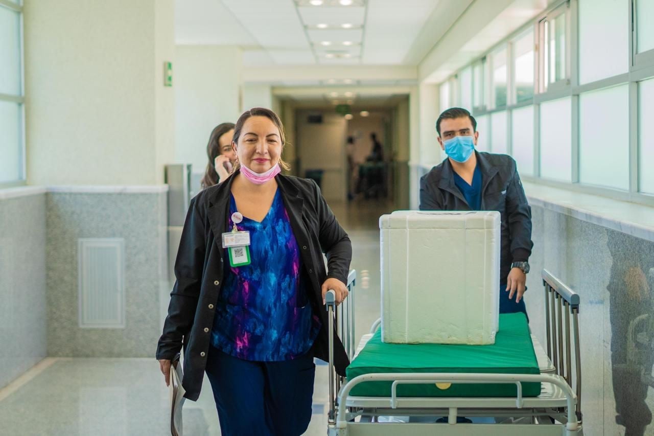 Dona José Antonio órganos