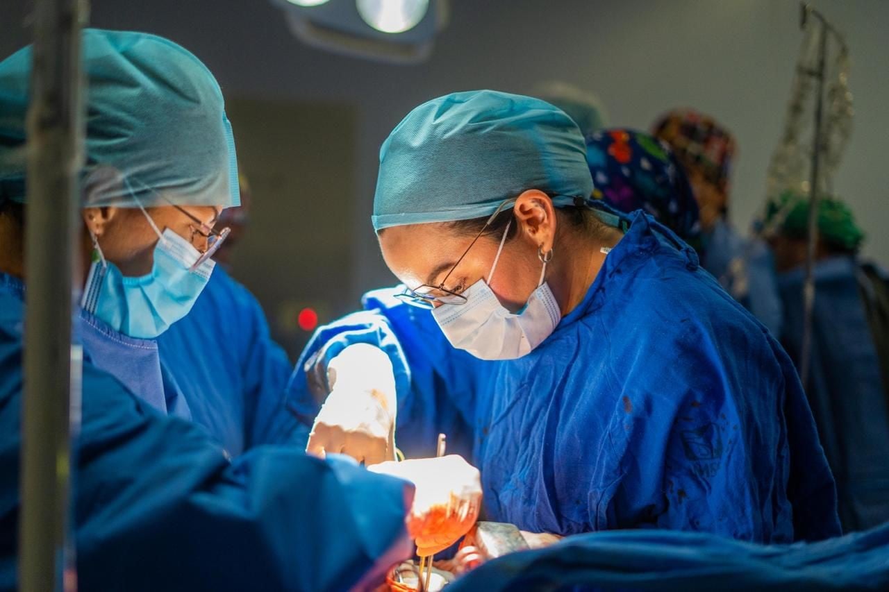 Dona José Antonio órganos