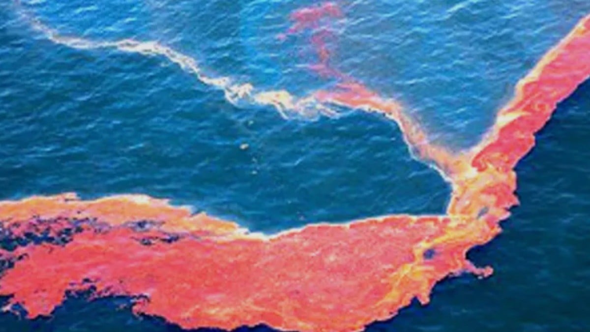 Pemex admite negligencia en derrame del Golfo y separa a tres funcionarios de su cargo