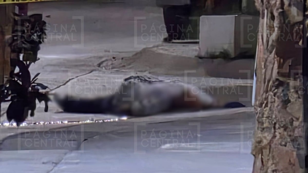 Asesinado en Observatorio II