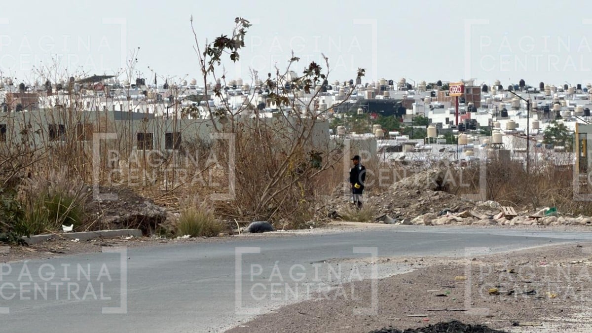 Hallazgo en Brisas del Campestre