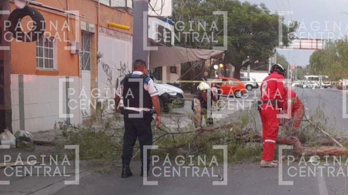 Caos vial en Mariano Escobedo