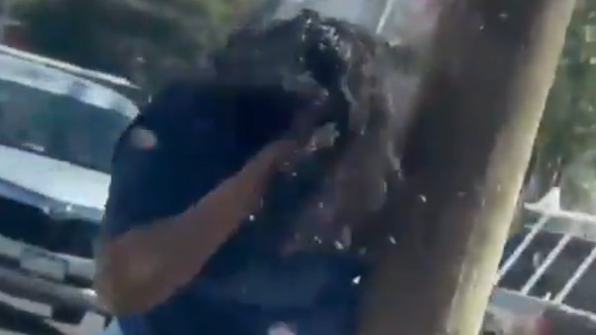 VIDEO ¡Recibió más de 200 picaduras! Captan momento en que abejas atacan a una mujer