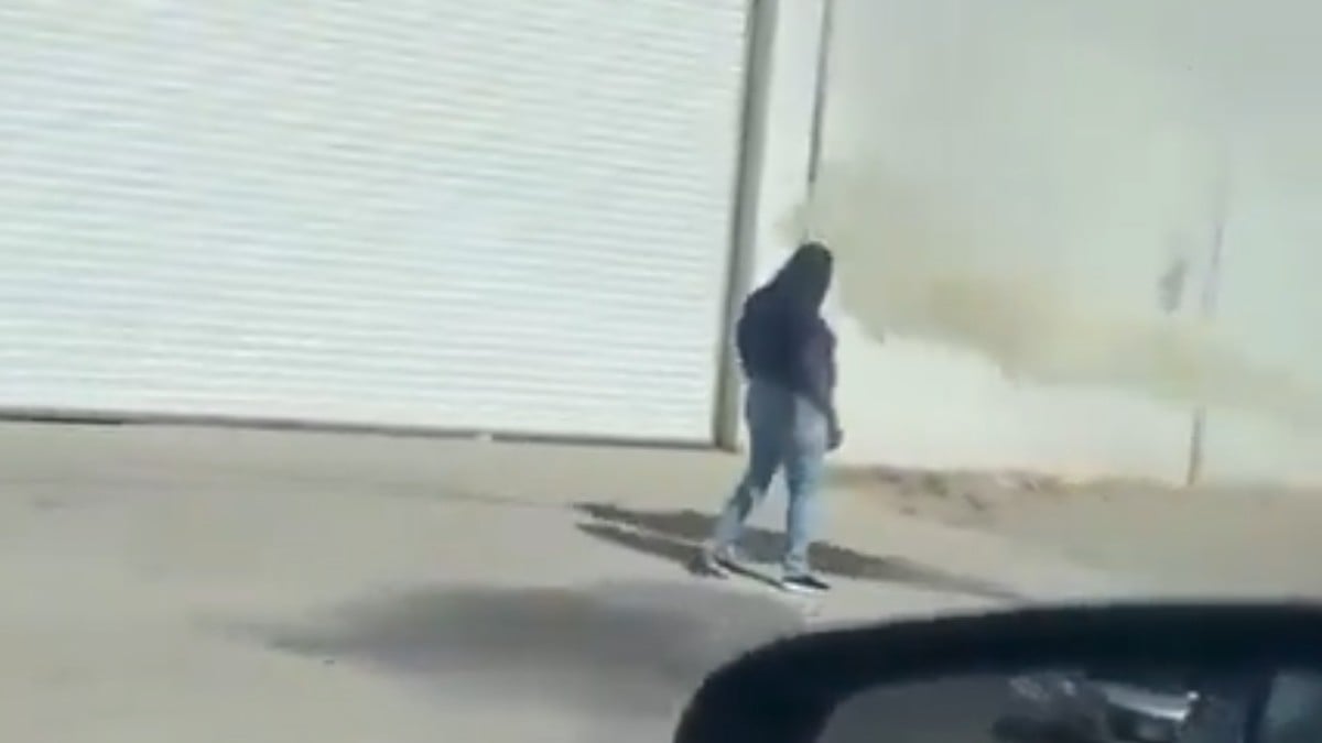 Ataque de abejas en Culiacán