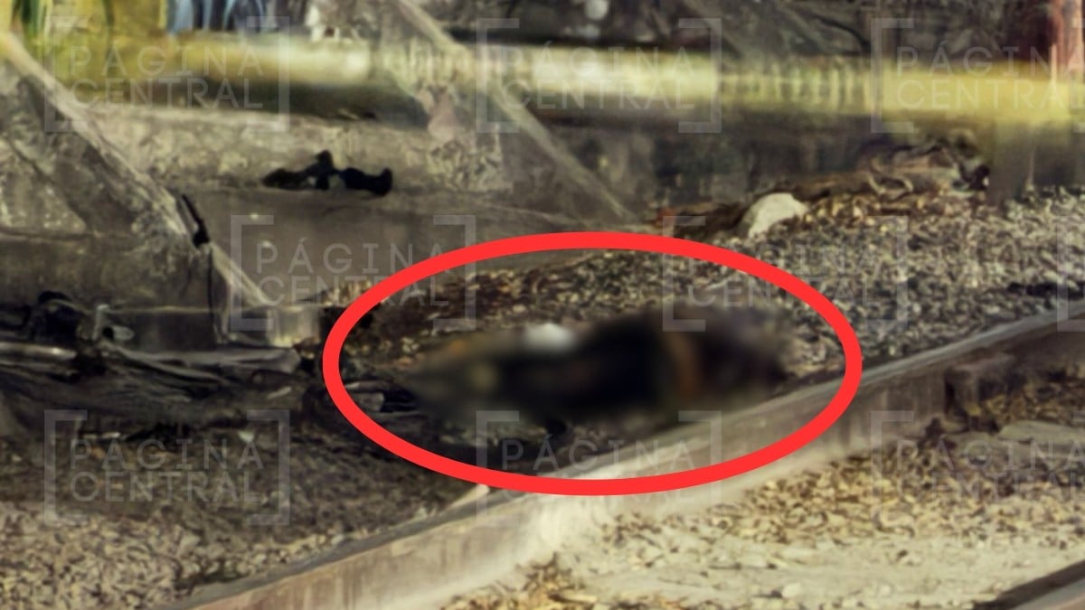 María de la Luz, asesinada la noche de este martes en León, ¡tenía 7 meses de embarazo!