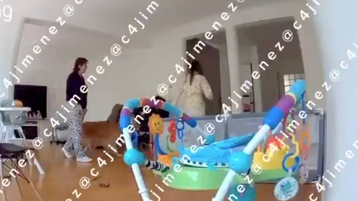 VIDEO Asesinato de Carolina Flores: La última conversación que tuvo la exmiss con su suegra