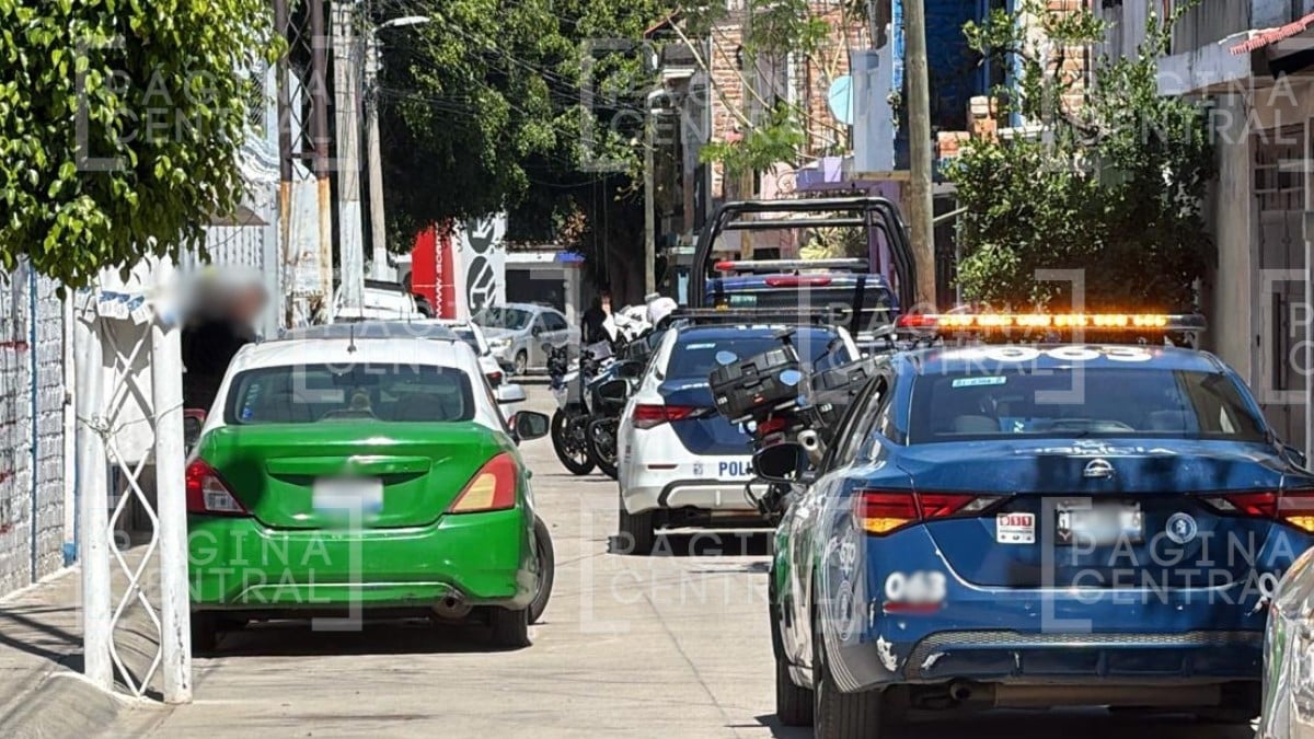 ¡De película! Paso a paso de la espectacular persecución en Ampliación León I