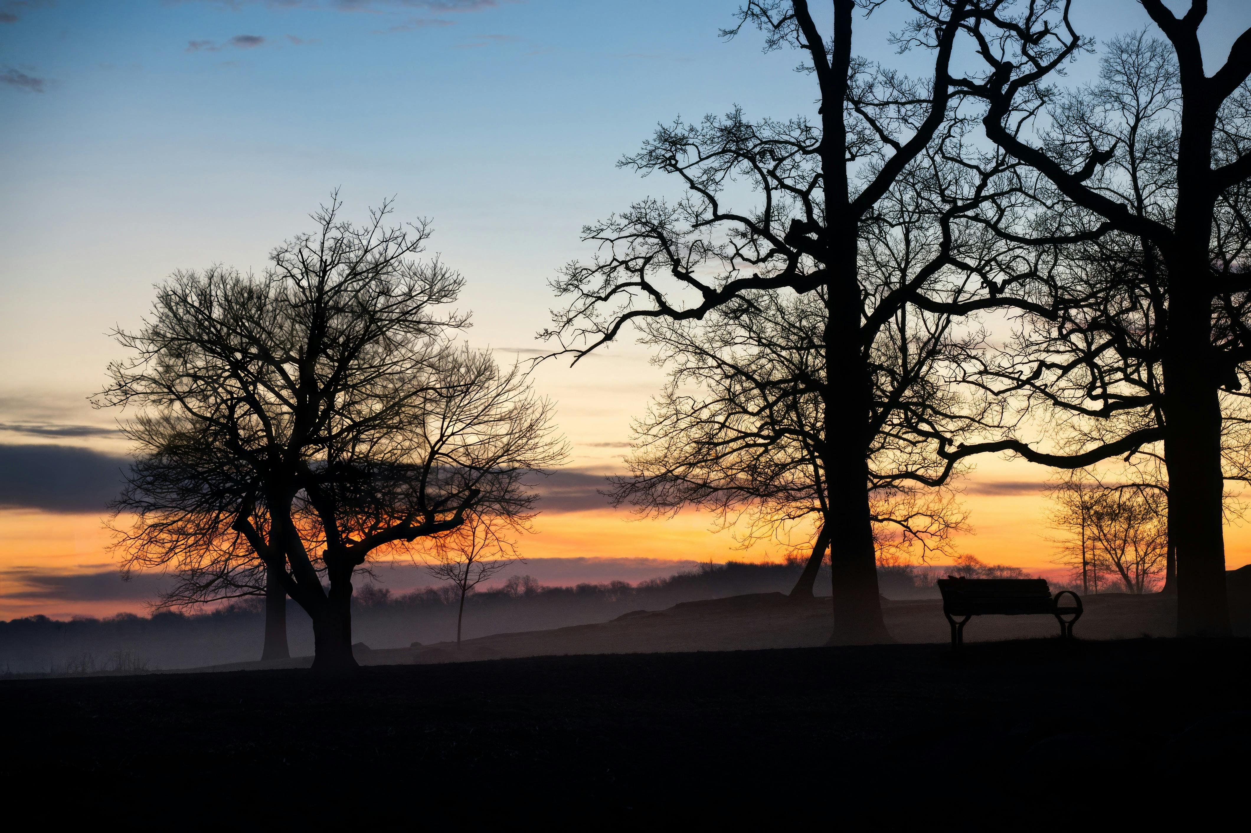 Clima en León: ¿A qué número llegará el termómetro este viernes?