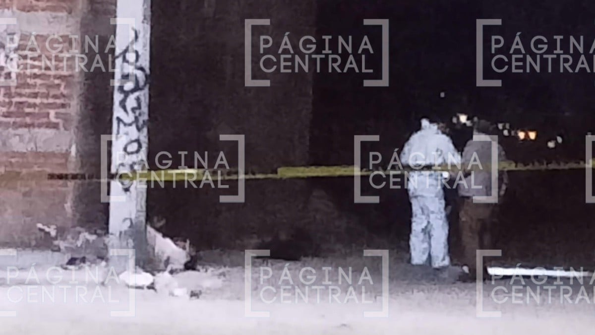 ¡En bolsas y una maleta! Encuentran restos humanos en la León II