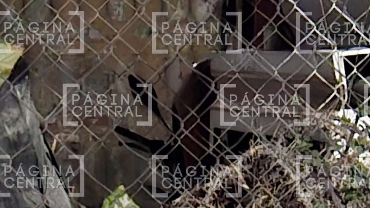 Aseguran a motocicleta involucrada en balacera