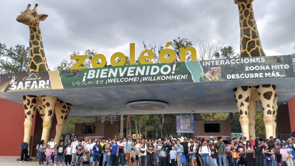 Asume Diana Karen Casillas como nueva directora del Zoológico de León