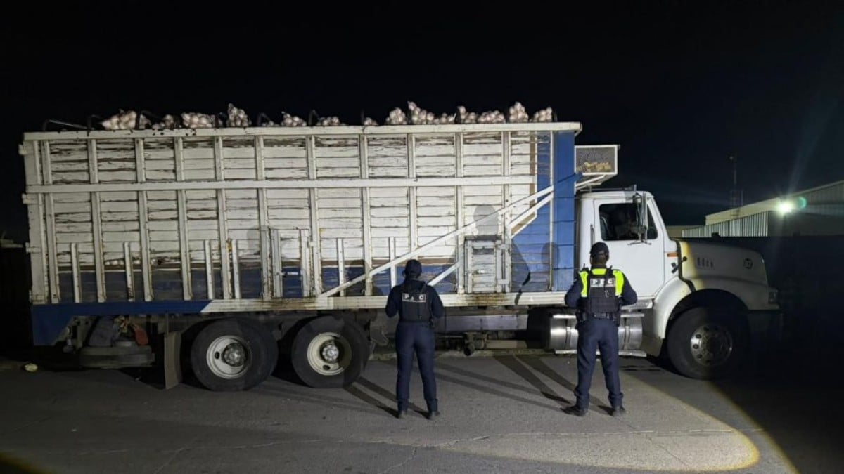 ¡Roban medio millón en cebollas! Aseguran camión en Irapuato con 20 toneladas del alimento
