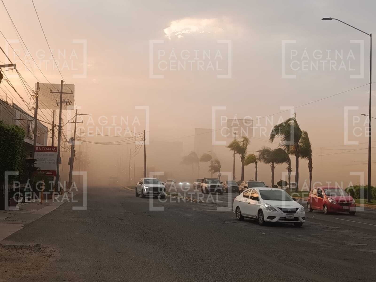 Fuertes ráfagas de viento en León causan apagones, caída de 35 árboles y caos vial