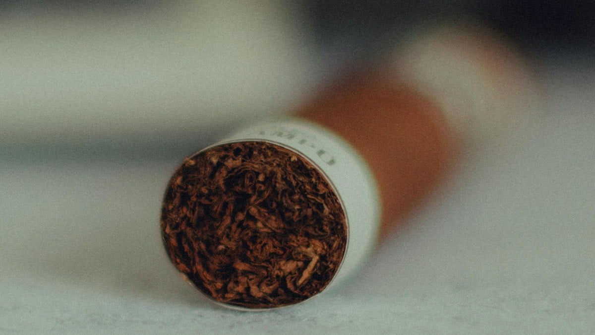 Estudio de USC advierte posible vínculo entre dietas saludables y cáncer de pulmón en jóvenes no fumadores; analizan pesticidas como factor de riesgo