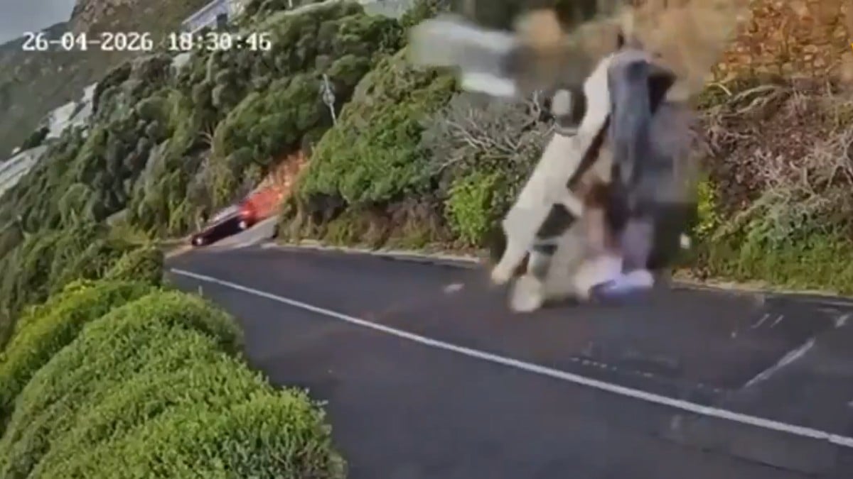 VIDEO ¿Milagro? Camioneta se estrella tras caer de un barranco, pero el chofer sale ileso
