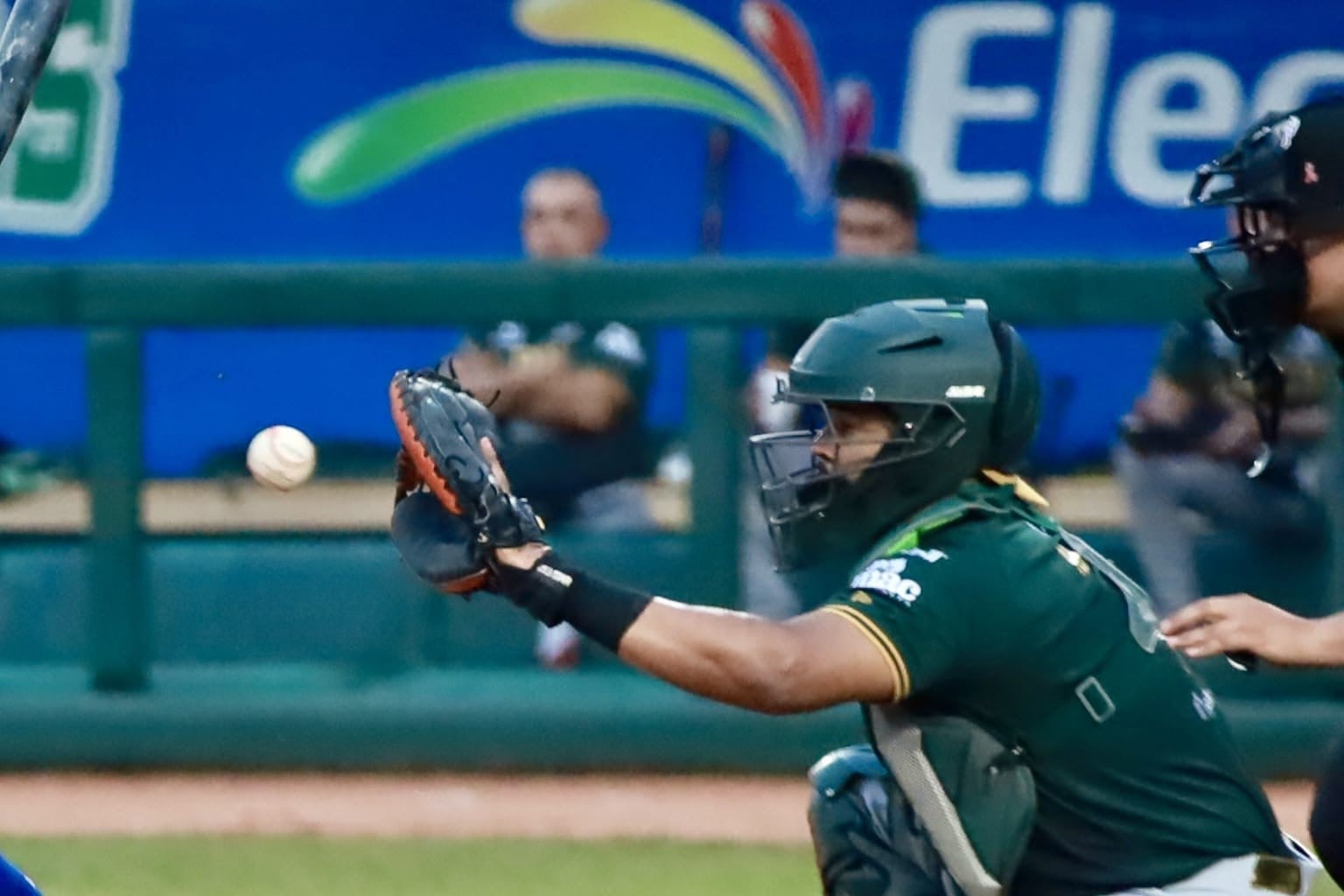 Bravos de León