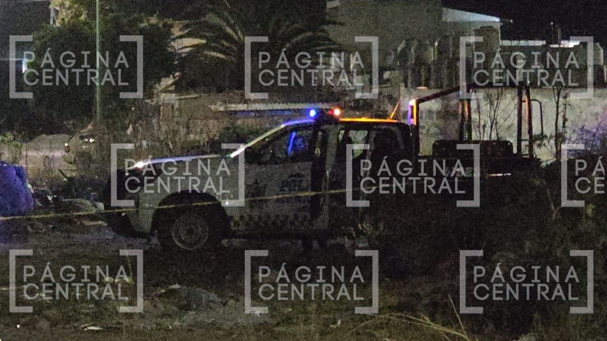 ¡Pensaban que no habría nada y entonces...! Hallan restos en Paseo de las Torres