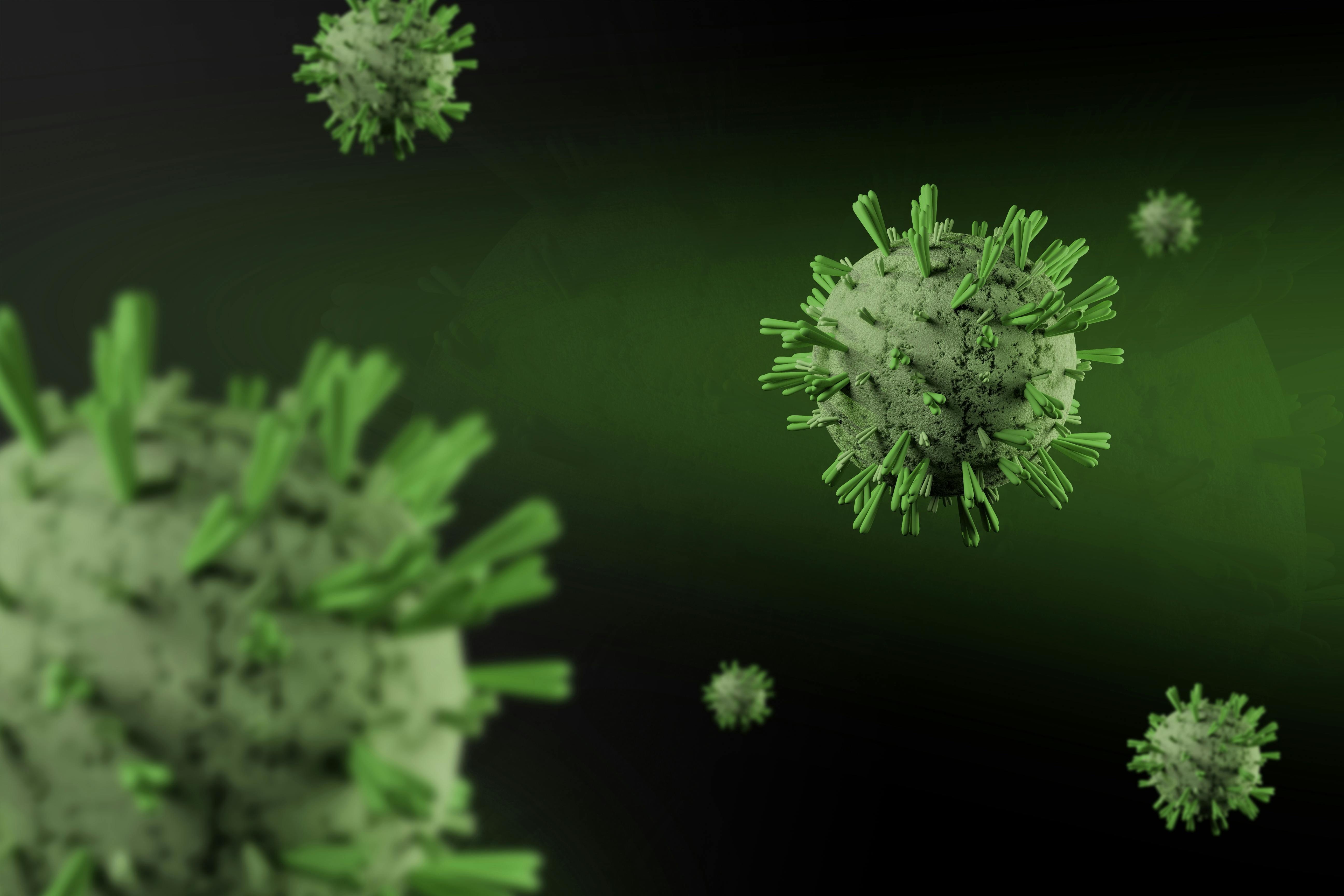 Riesgo de Hantavirus en México