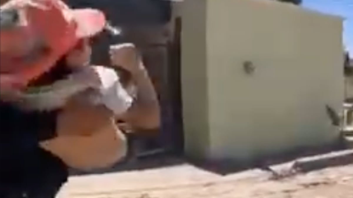 VIDEO ¡Corren por su vida! Policía traslada de emergencia a niña picada por viuda negra