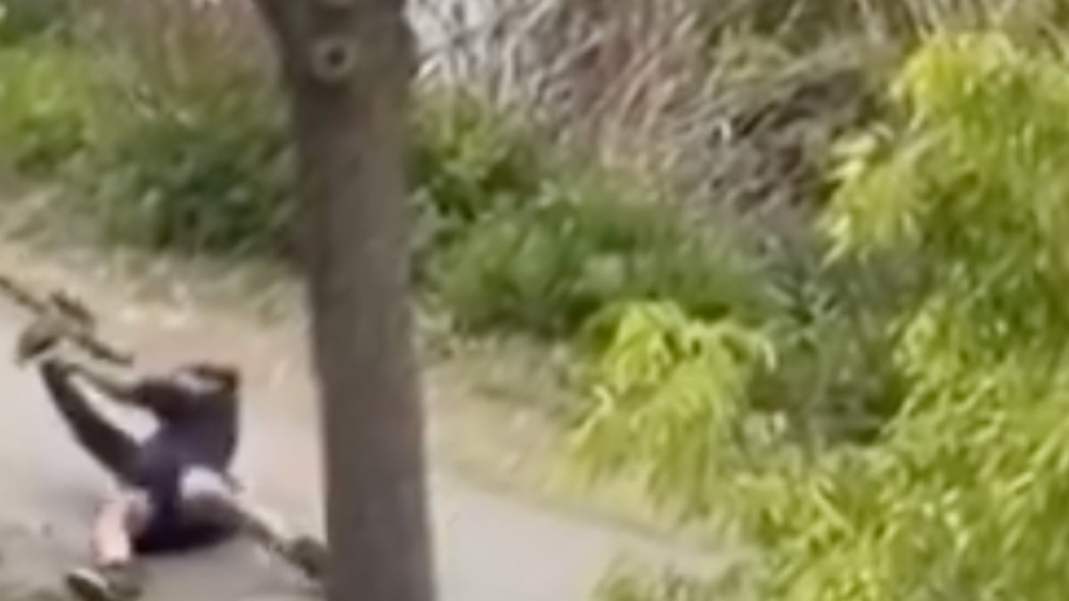 VIDEO ¡Neutralizado! Así contuvieron policía y civiles a presunto pistolero