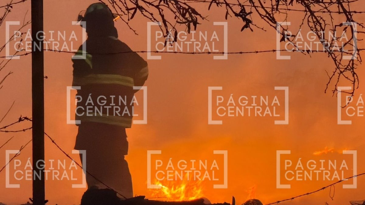 Incendio de pastizal alcanza vehículos en yonque sobre la León-San Francisco