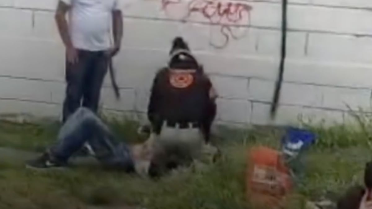VIDEO ¡De milagro! Así quedaron los sobrevivientes de fuerte choque