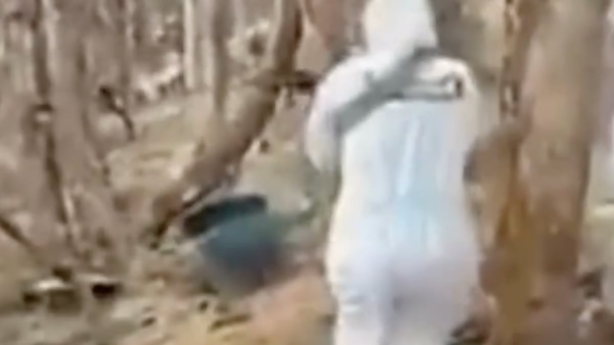 VIDEO Así el momento donde desmantelan un narcolaboratorio