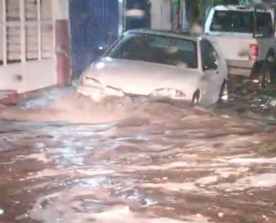 Caos por tormenta: Reportan árbol caído en Insurgentes y fuertes truenos por lluvias en León