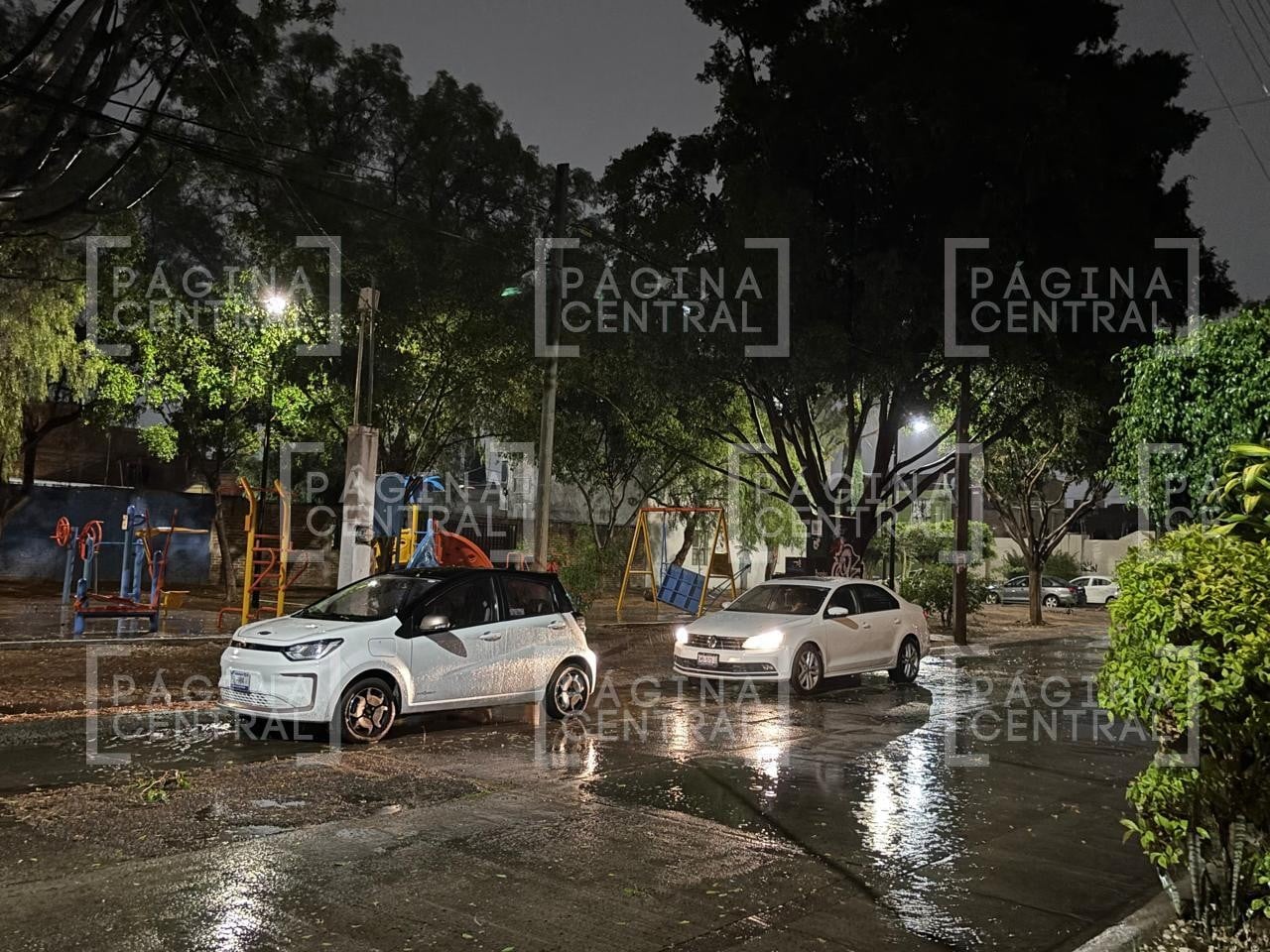 Caos por tormenta: Reportan árbol caído en Insurgentes y fuertes truenos por lluvias en León