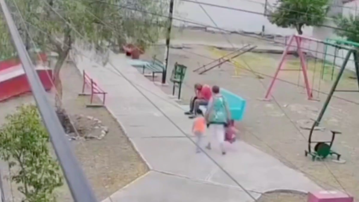 VIDEO Abuelita iba con su nieto cuando un indigente la apedreó y se desplomó frente al niño