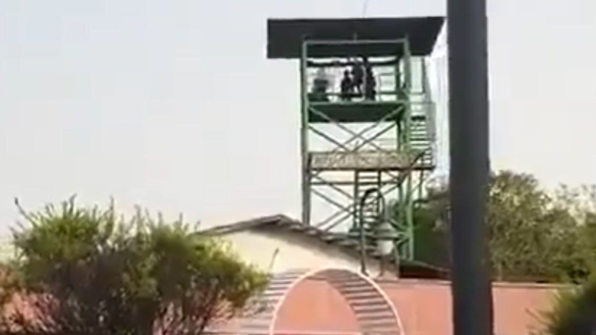 VIDEO ¡Tragedia! Joven de 16 años cae 14 metros desde una tirolesa y pierde la vida