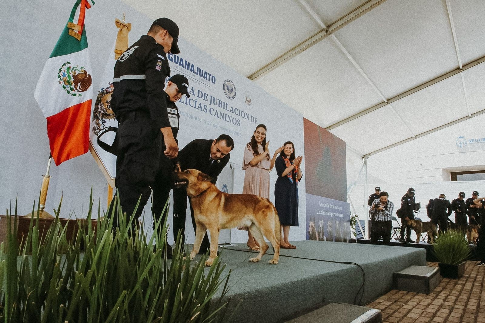 Jubilan a los primeros 10 caninos de la Unidad K9 de la Secretaría de Seguridad y Paz