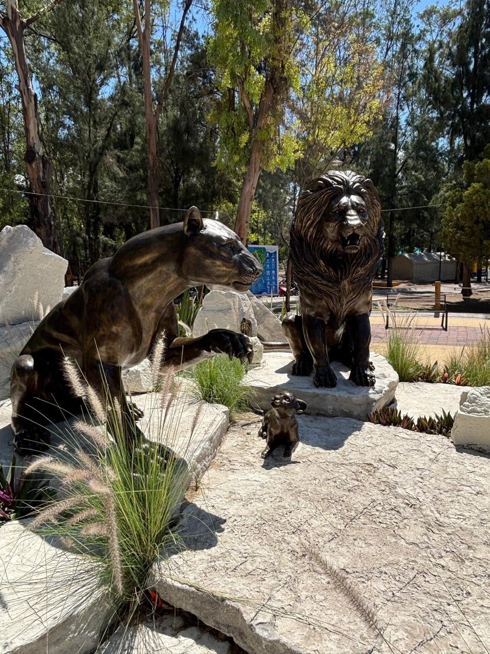 La escultura 'Familia de leones 450', de la artista Érika Trueba, recibirá a los visitante en una de las entradas del Parque Zoológico de León. La escultura 'Familia de leones 450', de la artista Érika Trueba, recibirá a los visitante en una de las entradas del Parque Zoológico de León.