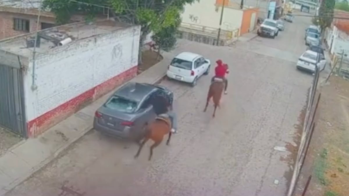 VIDEO ¡Como antes! Vandalizan vehículo, le lanzan piedras a caballo