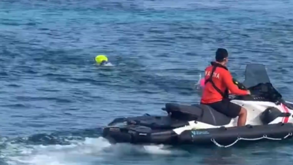 VIDEO ¡Peligro en el agua! Cocodrilo acecha a niños durante competencia de natación
