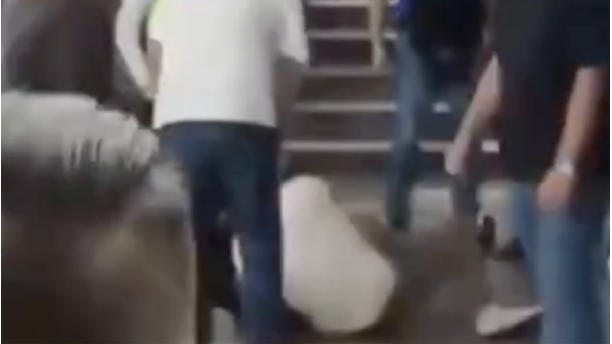 VIDEO ¡De nuevo! Golpes en el transporte público, ahora fue por esta razón