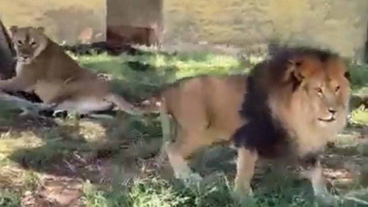 Zoológico de Guadalajara